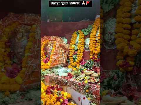 कराहा पूजा बनारस 🚩 || baba kashidas karaha puja video ✨ || Anil bhagat karaha puja #song #yt #shorts