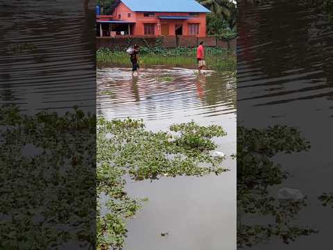 Flood in Assam #reels