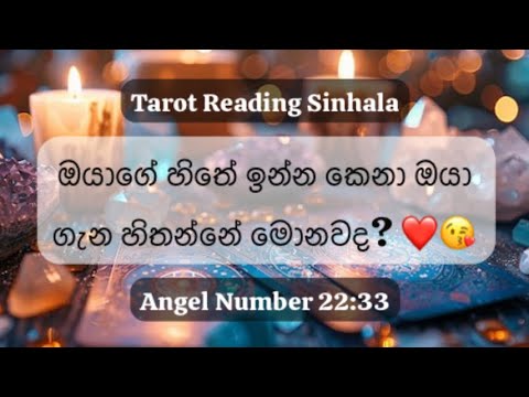 The person on your mind ❤️🥰 Their thoughts,feelings & intentions towards you #tarot #love #pickacard