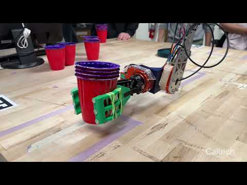 Robotic Arm Systems – Undergraduate Demo