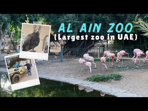 Al ain zoo | largest zoo in UAE | must visit place | #alainzoo #alain #uae #abudhabi #abudhabiuae