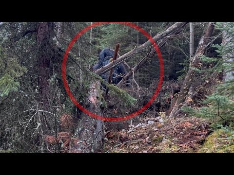 Most DISTURBING Camping Encounters Caught on Camera Vol.11