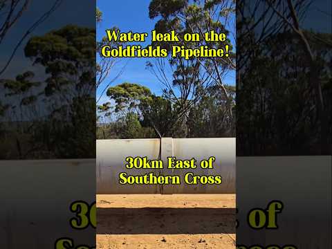 Water leak on the Goldfields Water Pipeline! #findinggspots