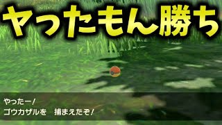 ポケモンアルセウス】あまりにもひどい、高Lvオヤブンだろうが普通のモンボで簡単に捕獲する ねばりだま外道技【レジェンズアルセウス】