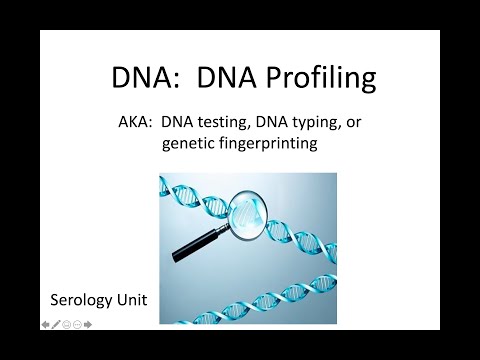 Forensic Serology: Notes 4 - DNA Profiling