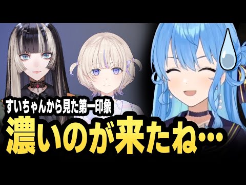 すいちゃんから新人へのお言葉がエモすぎた【星街すいせい/轟はじめ/儒烏風亭らでん/ホロライブ切り抜き】