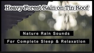 Heavy Forest Rain on Tin Roof for sleeping- Nature Rain sounds