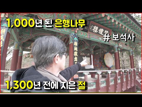 1,000년 된 은행나무 / 보석사 / 금산여행 / travel in korea