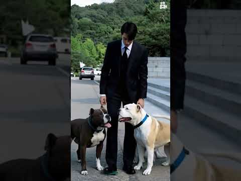 Yo Yeon Seok Ai Funny Video #shorts