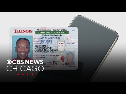 Digital IDs to become available for Illinois residents