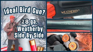 Hunting Upland Birds with 28 gauge, Weatherby Side-by-Side Shotgun