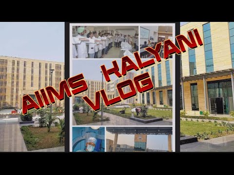 AIIMS kalyani viral video #viral #neet2024 #pw #aiimskalyani #mbbs #doctor #aiims #kota #neet #akas