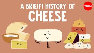 A brie(f) history of cheese - Paul Kindstedt