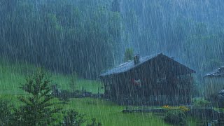 睡觉的雨声 - 夜间迷雾森林中的大暴雨和雷声