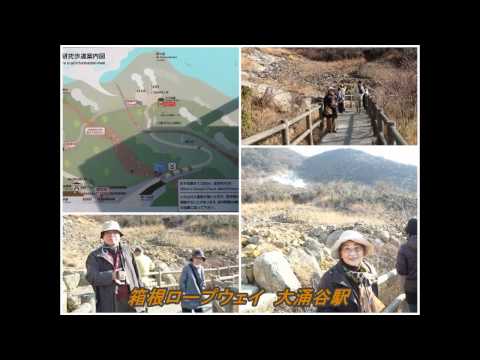 箱根ロープウェイと大井川鉄道を巡るバスツアー---1日目