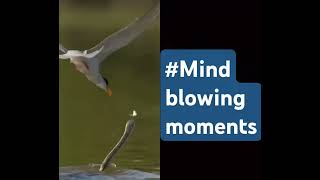 #Mindblowingmoments