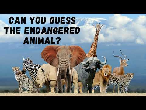 Endangered Animals Quiz: Can You Guess the endangered Species?