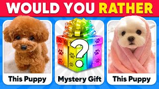 Would You Rather...? MYSTERY Gift 🐶🎁❓ ANIMALS Edition