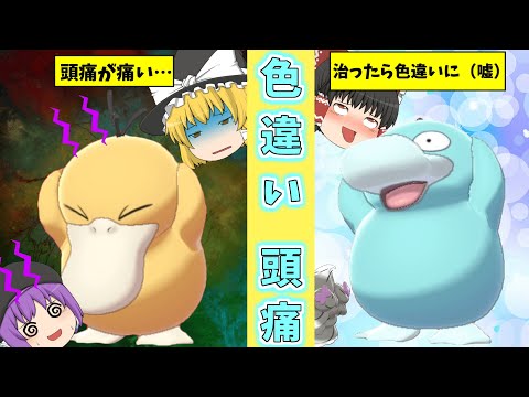 【ポケモン剣盾】俺と同じ頭痛に悩む同志…色違いコダックをダイブボールでゲットしたい！【ゆっくり実況】