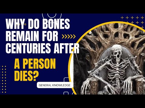 What's with BONES? #generalknowledge #gk #humanbody #sciencefacts #informativevideos