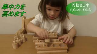 Montessori Cylinder Blocks MINI モンテッソーリ　円柱さしミニ　知育玩具