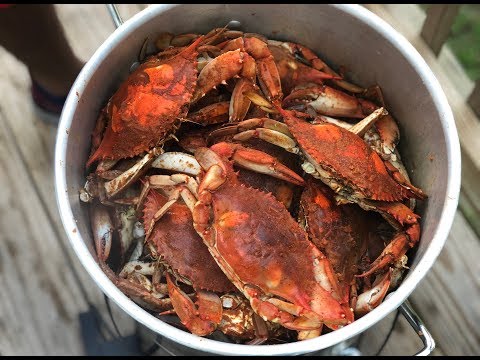 How To Steam Maryland Blue Crabs | Blue Crabs Recipe | Southern Smoke Boss