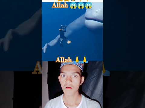 What is this 😱 Allah is the greatest Allah o Akbar reaction motivation #reactionvideo #motivation