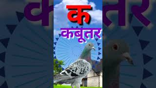 क से कबूतर,अ से अनार, आ से आम ।। Hindi varnmala song , ka se kabutar, kh se khargosh #short