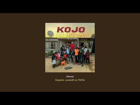 KOJO – DNA (Text)