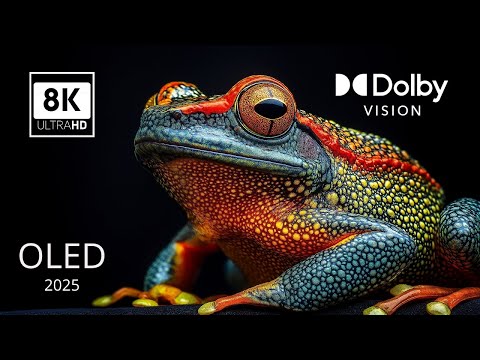 12K Video ULTRA HD 240 FPS Unreal World Dolby Vision 12K HDR