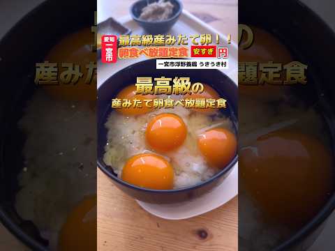 【一宮グルメ・モーニング】高級たまご食べ放題定食が凄すぎた🤣 #一宮グルメ #一宮モーニング #グルメ好き