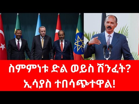 ሳማሊላንድ ምላሽ ሰጠች!ኤርዶኃንስ ምን አሉ?#iran #somalia #ethiopia #erdoğan #turkey #abiy #gaza #etv #israel