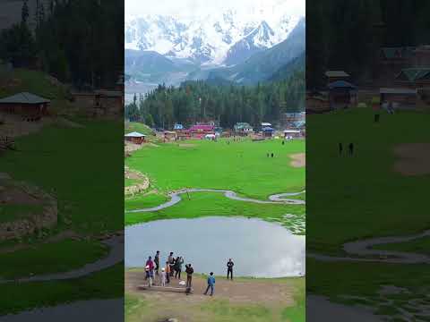 Fairy Meadows