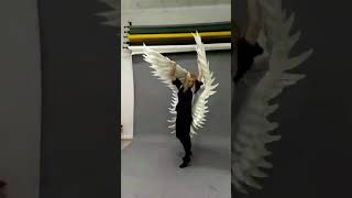 Adult Large Angel Feather Wings Cosplay Costume