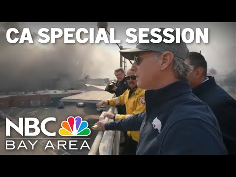 Newsom, state lawmakers hold special session on LA County wildfires