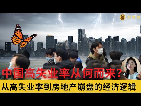 中国的高失业率从何而来？从高失业率到房地产崩盘的经济逻辑/时事经济（娜点财经20250224）