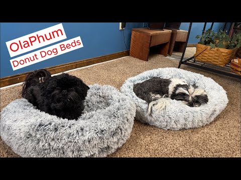 OlaPhum Donut Dog Beds, soft lightweight and cushy #dogbeds #doglover #dogs