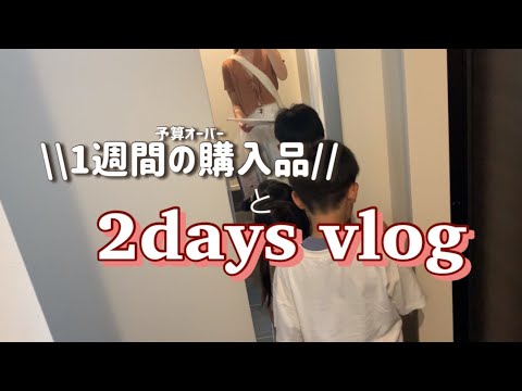 【主婦vlog】4人家族の予算オーバーしすぎた1週間のスーパー購入品/2days vlog/夜ご飯