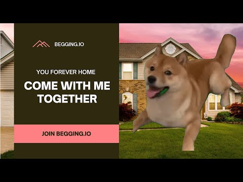 Your forever home - Begging.io