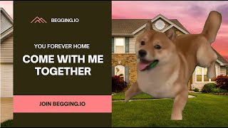 Your forever home - Begging.io