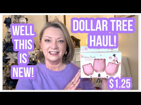 DOLLAR TREE HAUL | WELL THIS IS NEW | INTERESTING FINDS | WOW | LOVE DT😁 #haul #dollartree