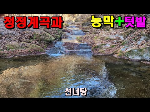 일급수청정계곡과 농막+텃밭/가재가서식하는정선산골땅/정선부동산매매/정선토지매매