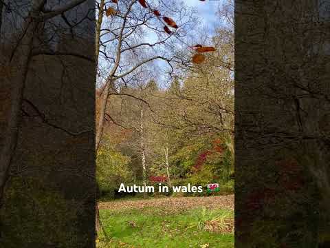 Autumn in wales #travel #wales