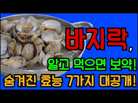 바지락, 알고 먹으면 보약  숨겨진 효능 7가지 대공개! (피로 해소, 빈혈 예방, 혈관 건강까지)