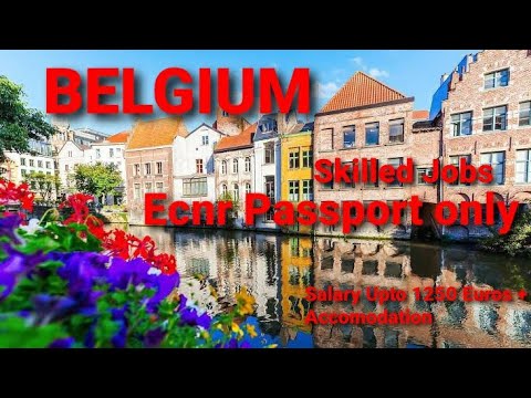 Belgium work Visa/Jobs in Belgium 🤷‍♂️ ✈