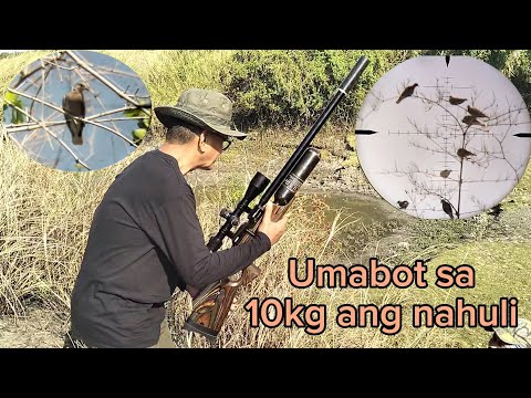 Airgun Bird Hunting Ph