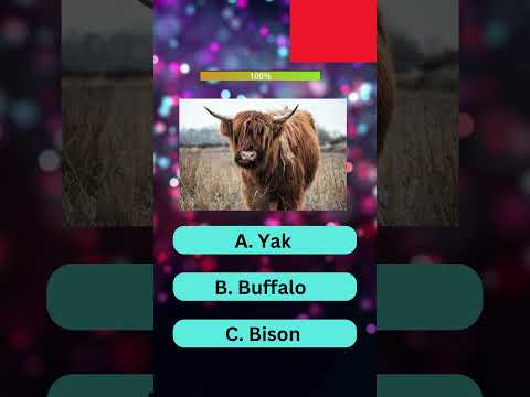 Animal Quiz! 🐂🦊🦈Part 2|  #viral #quiz #trending #shorts