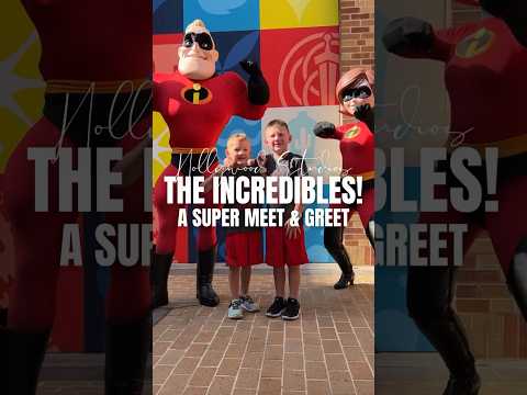 POV: An INCREDIBLE Meet and Greet In Hollywood Studios | Disney World