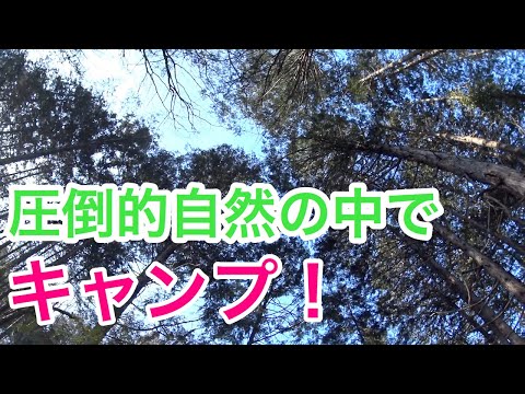 【キャンプ】圧倒的自然（笑）裏山キャンプ場紹介！！イノシシや熊も出る！七輪キャンプ9　CAMP　JAPAN