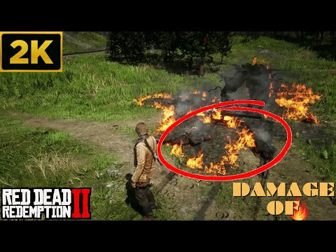 Exploring the Devastating Effects of Fire in Red Dead Redemption 2